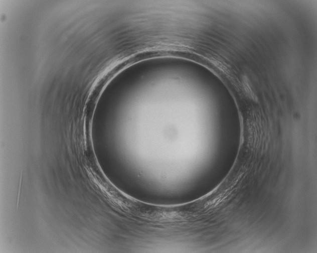 X0000057100982200509161650