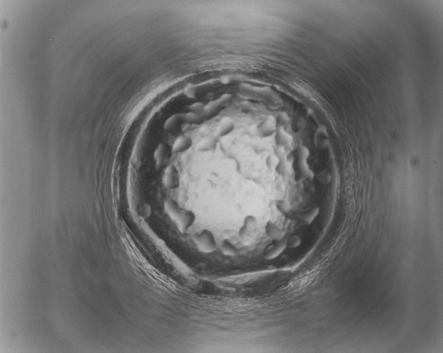 X0000057100983200509161650