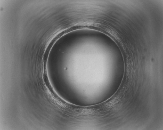 X0000057100984200509161650