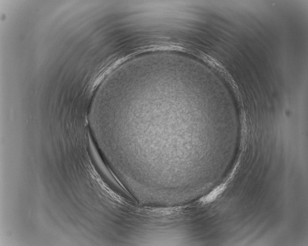 X0000057100985200509161650