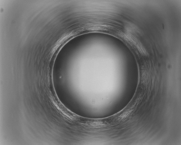 X0000057100986200509161650