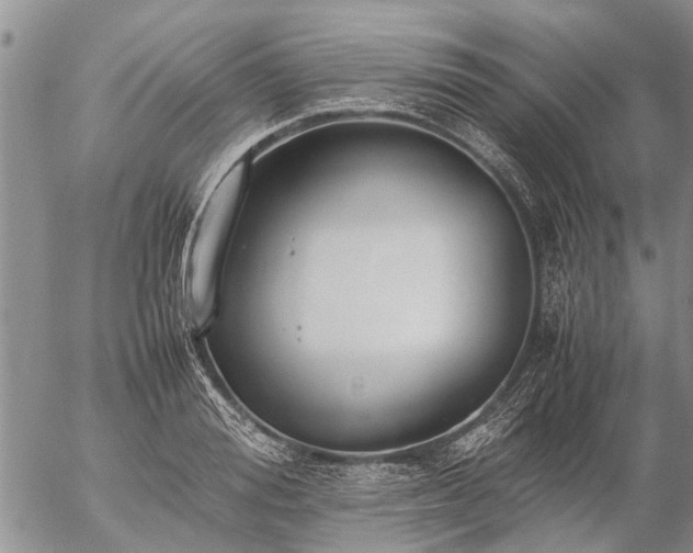 X0000057100988200509161650