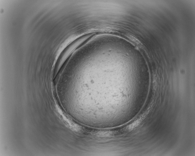 X0000057100989200509161650