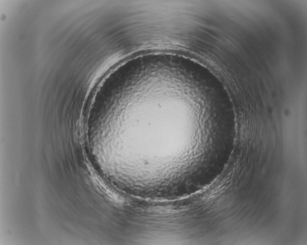 X0000057100990200509161650