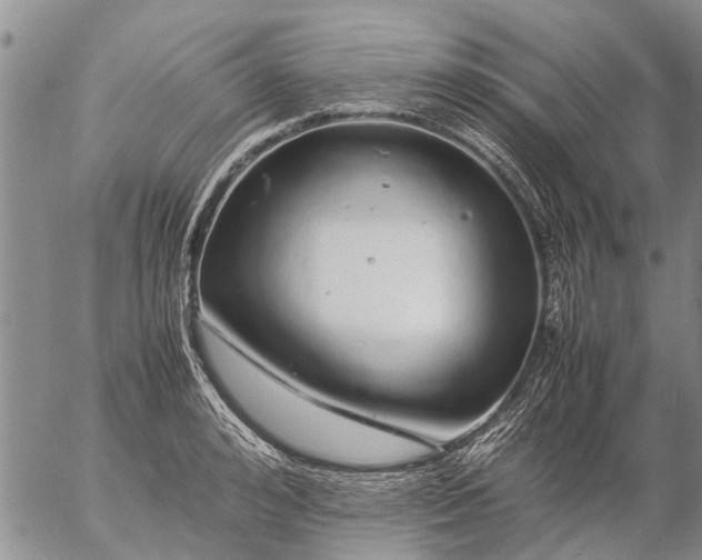 X0000057100992200509161650