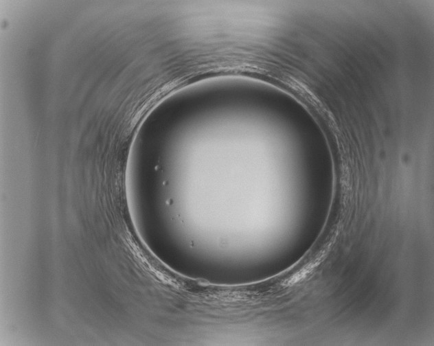 X0000057100993200509161650