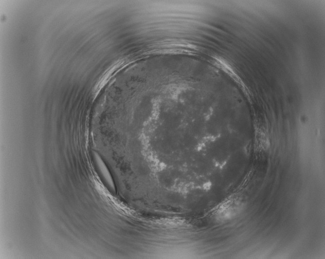 X0000057100994200509161650