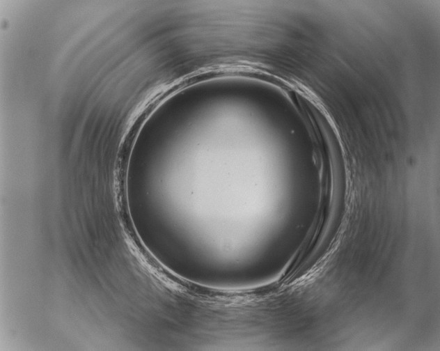 X0000057100997200509161650