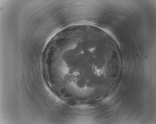 X0000057100998200509161650