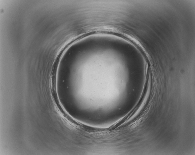 X0000057100999200509161650