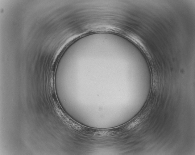 X0000057101000200509161650