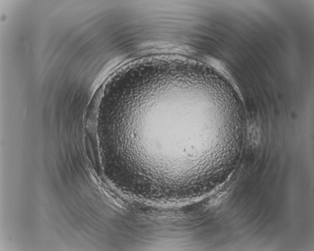 X0000057101002200509161650