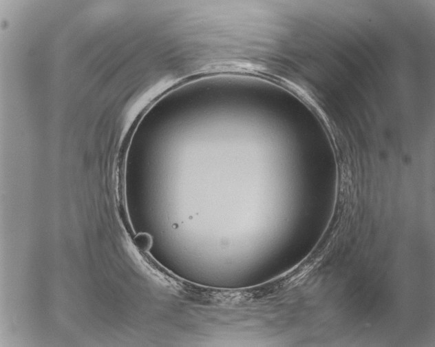 X0000057101003200509161650