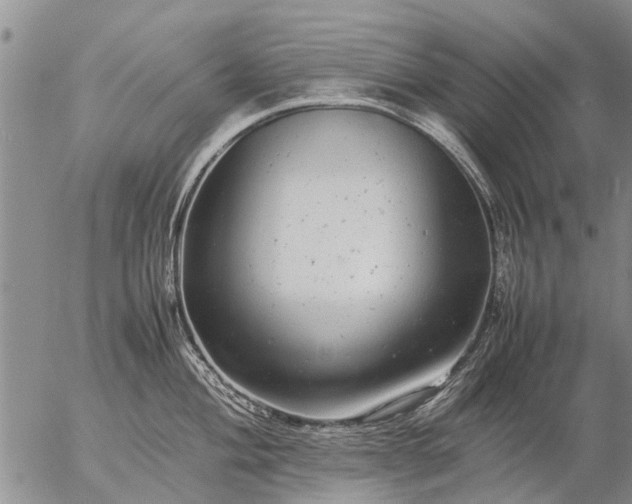 X0000057101004200509161650