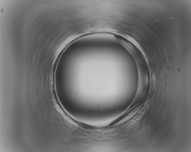 X0000057101005200509161650