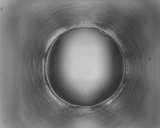 X0000057101006200509161650