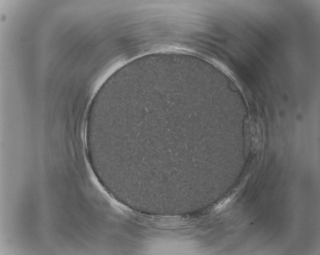 X0000057101007200509161650