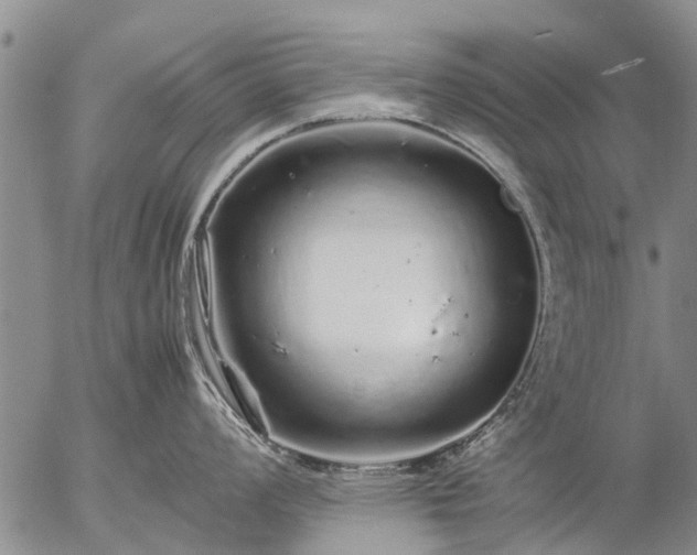 X0000057101008200509161650