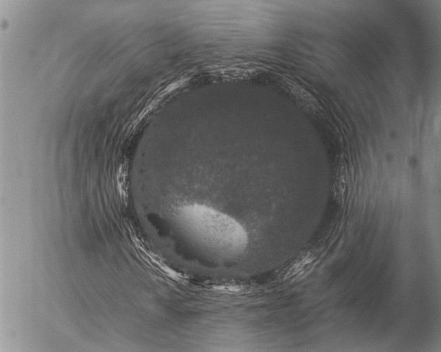 X0000057101010200509161649