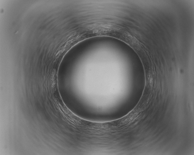 X0000057101012200509161649