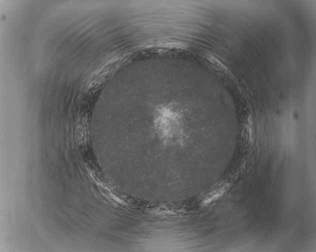 X0000057101014200509161649