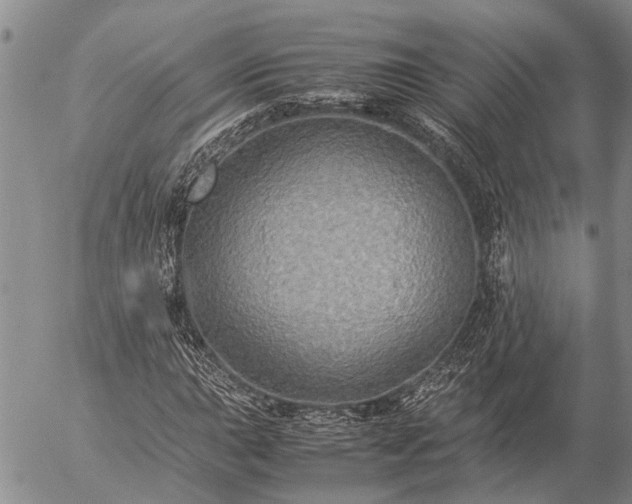 X0000057101015200509161649