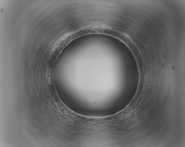 X0000057101016200509161649