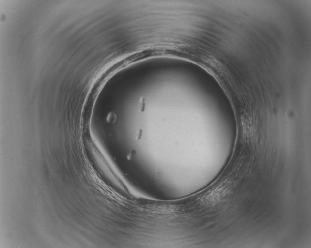 X0000057101020200509161649