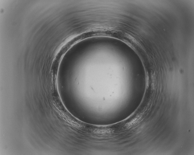 X0000057101021200509161649