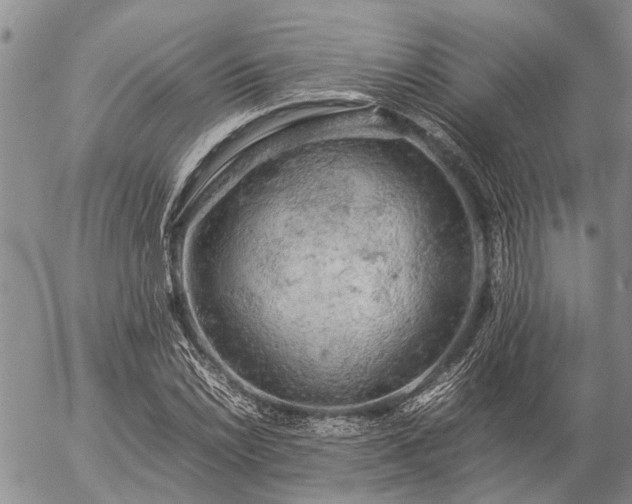 X0000057101022200509161649