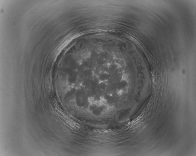 X0000057101023200509161649