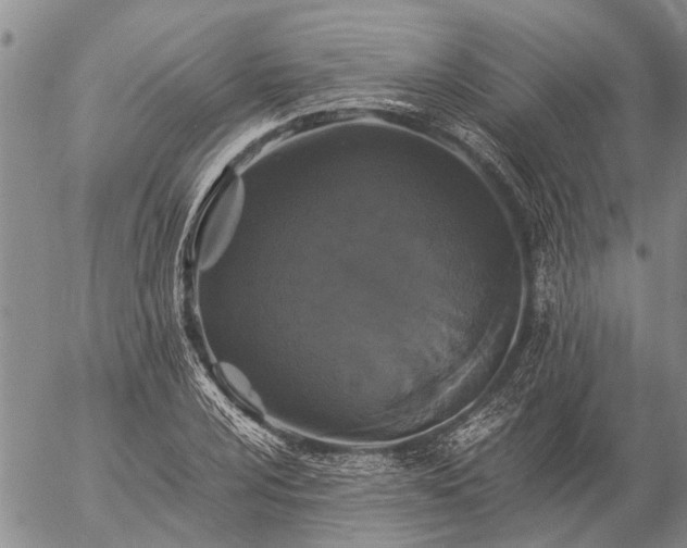 X0000057101024200509161649