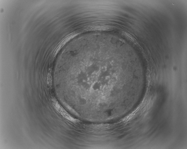 X0000057101025200509161649