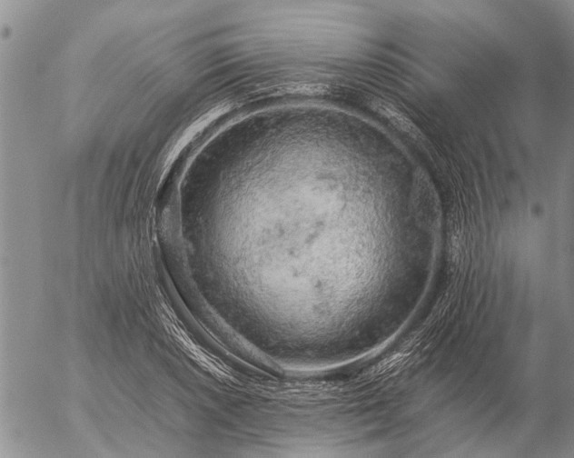 X0000057101026200509161649