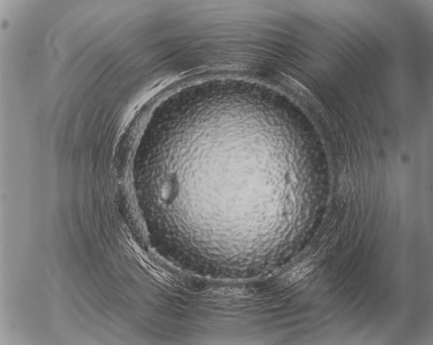 X0000057101027200509161649