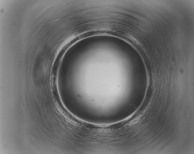 X0000057101029200509161649