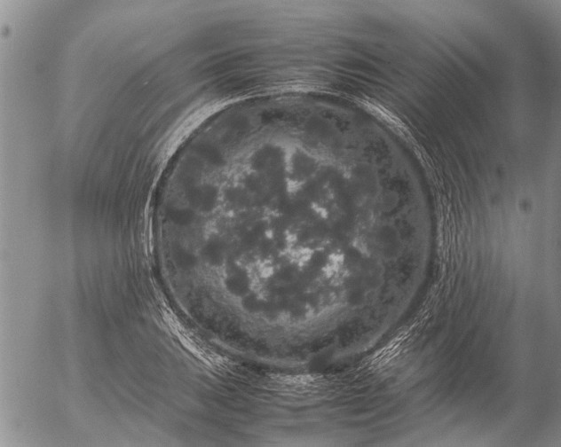 X0000057101031200509161649