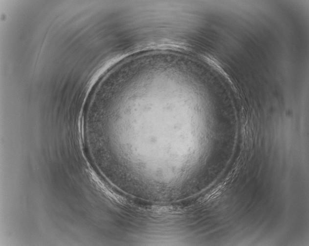 X0000057101032200509161649