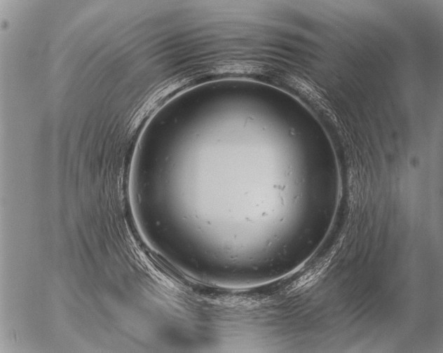 X0000057101033200509161649