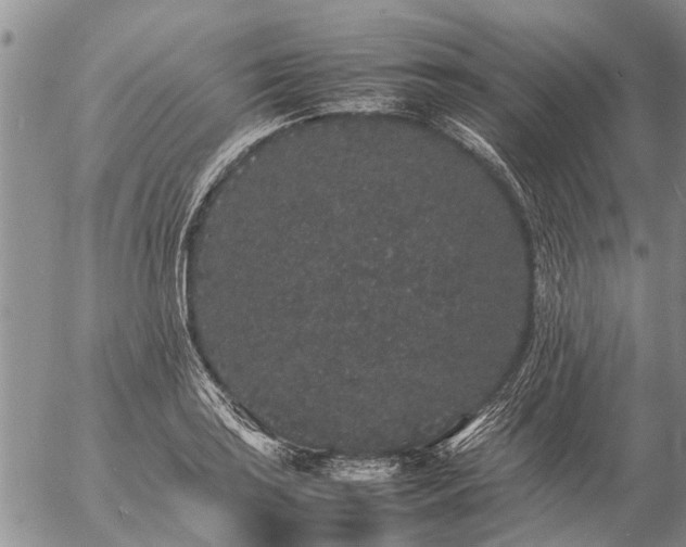 X0000057101035200509161649