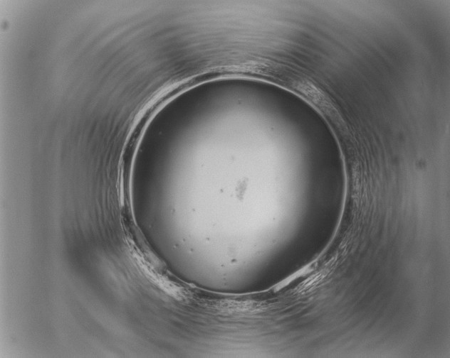 X0000057101036200509161649