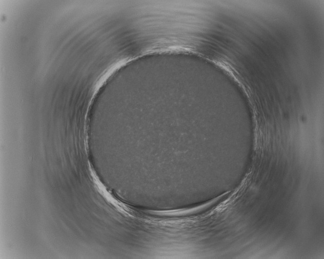 X0000057101038200509161649