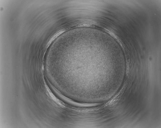 X0000057101042200509161649