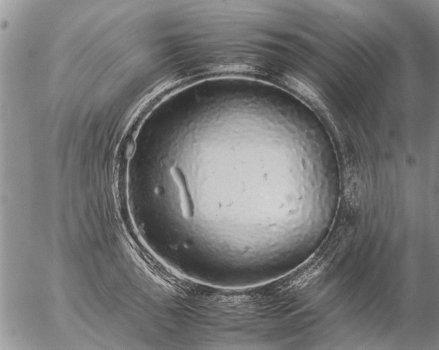 X0000057101043200509161649