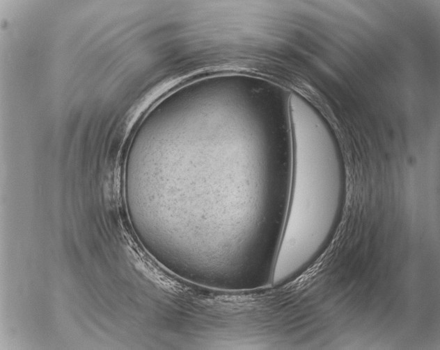 X0000057101044200509161649