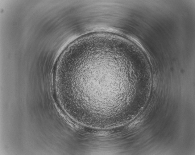 X0000057101048200509161650