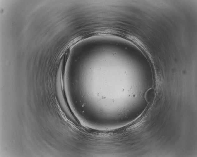 X0000057101049200509161650