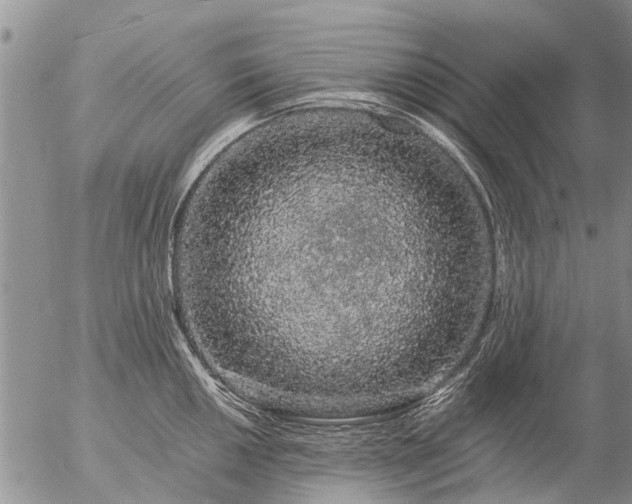 X0000057101050200509161650