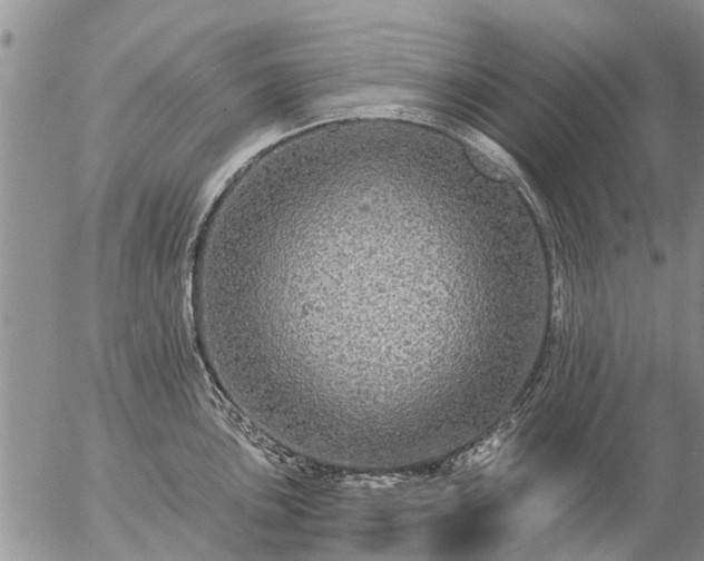 X0000057101051200509161650