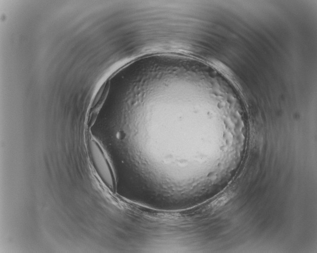 X0000057101052200509161650